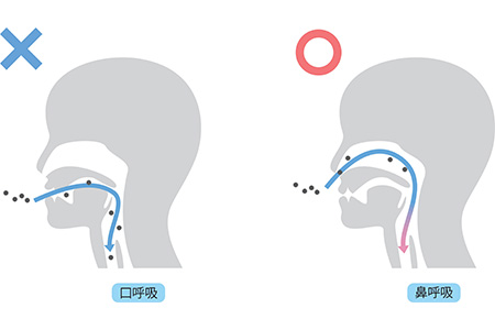 口呼吸にも関連します